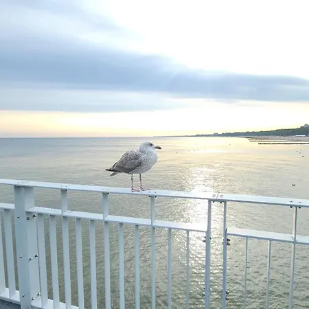 Balticsky Loft Premium, Kolobrzeg, Basen, Jacuzzi, Sauna Apartment