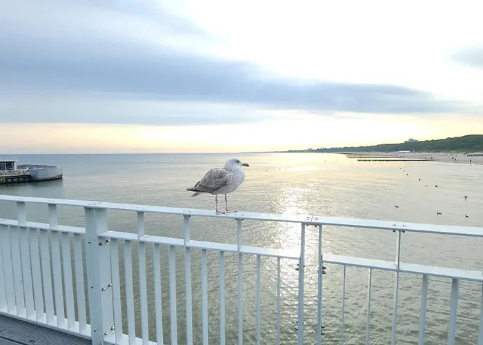 Balticsky Loft Premium, K O ł O B R Z E G Apartament